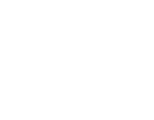 James C. Jones II Attorney at Law